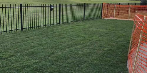 Sod Installation
