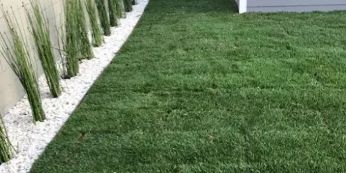 Turf & Sod Installation