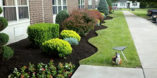 Landscaping, Landscaping Company, Landscaping Contractor, Landscaping Company 28 Magnolia Outdoor Living