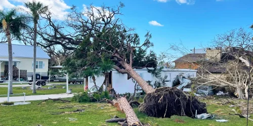 Lawn Clean Up Lawn Clean Up