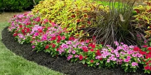 Landscaping, Landscaping Company, Landscaping Contractor, Landscaping Company Landscaping, Landscaping Company, Landscaping Contractor, Landscaping Company
